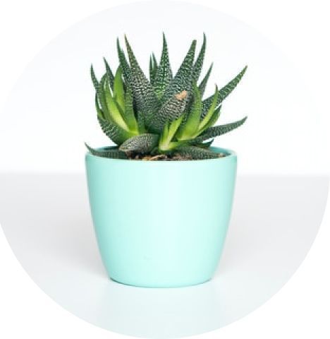 Voir tout les annonces